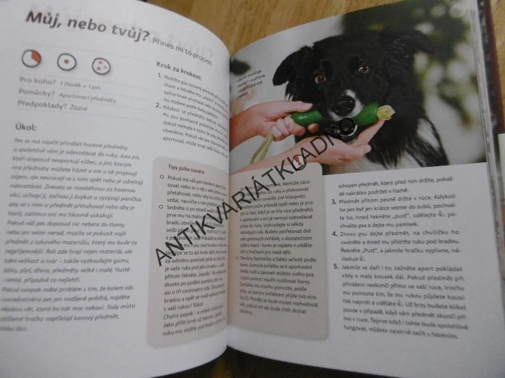 HRY SE PSEM NA DOMA, DUŠEVNÍ GYMNASTIKA, TRIKY A HRY, ANJA JAKOBOVÁ, **an