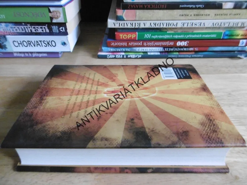 PŮL ŽLUTÉHO SLUNCE, CHIMAMANDA NGOZI ADICHIEOVÁ, **an