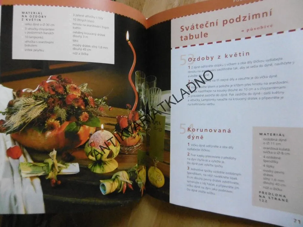 101 NEJKRÁSNĚJŠÍCH NÁPADŮ Z PŘÍRODNÍCH MATERIÁLŮ, NÁPADY NA VŠECHNA ROČNÍ OBDOBÍ, **an