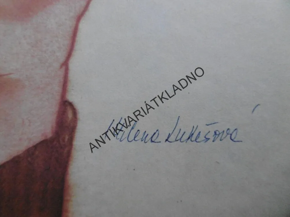 KAMKÁNEK, MILENA LUKEŠOVÁ ,1982, **an