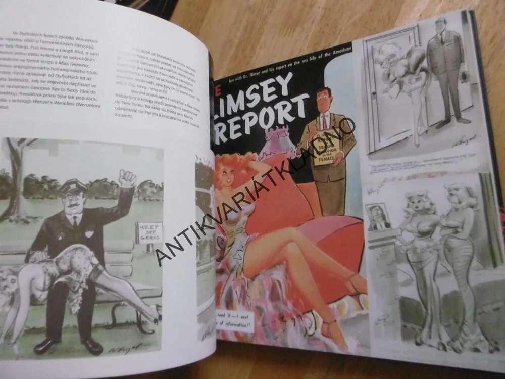 EROTICKÝ KOMIKS, TIM PILCHER, **an