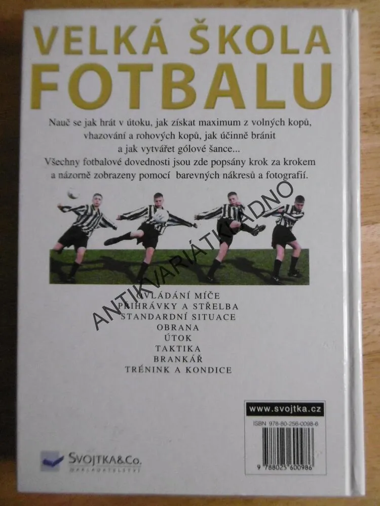 VELKÁ ŠKOLA FOTBALU, SPORT, FOTBAL, **an
