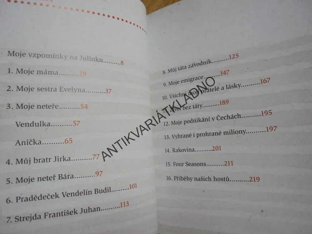 ŽIVOT VE STÍNU SLAVNÉHO RODU STEIMARŮ,JUHANOVÁ