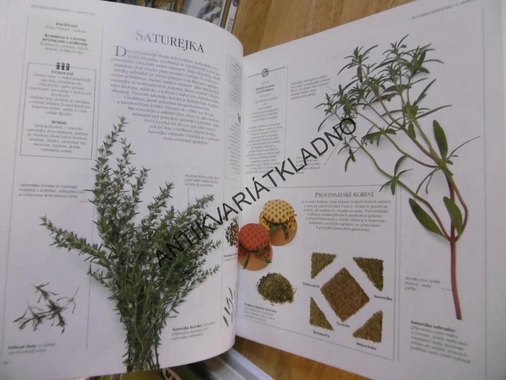 ENCYKLOPEDIE KOŘENÍ, BYLINEK A POCHUTIN, E.L. ORTIZOVÁ, **an