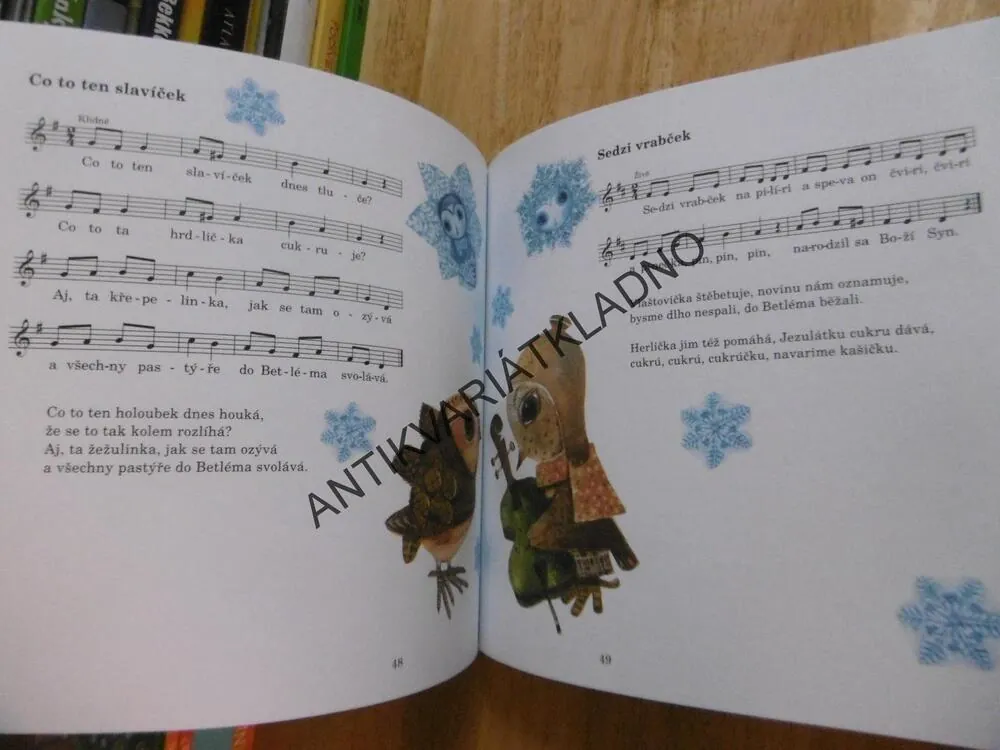 TEN VÁNOČNÍ ČAS, RÁKOSNÍKOVÁ, KUDLÁČEK,VČETNĚ CD, **an