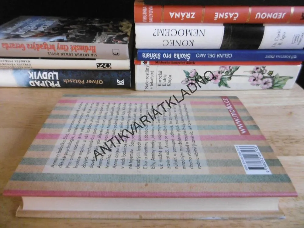 ZAPOMENUTÉ ŠATY, RIIKA PULKKINEN, **an
