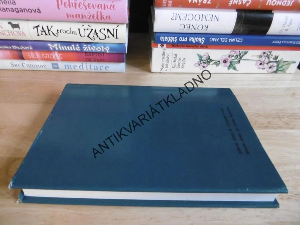 PRÁVO PRVNÍ NOCI, JOŽO NIŽNÁNSKÝ **an