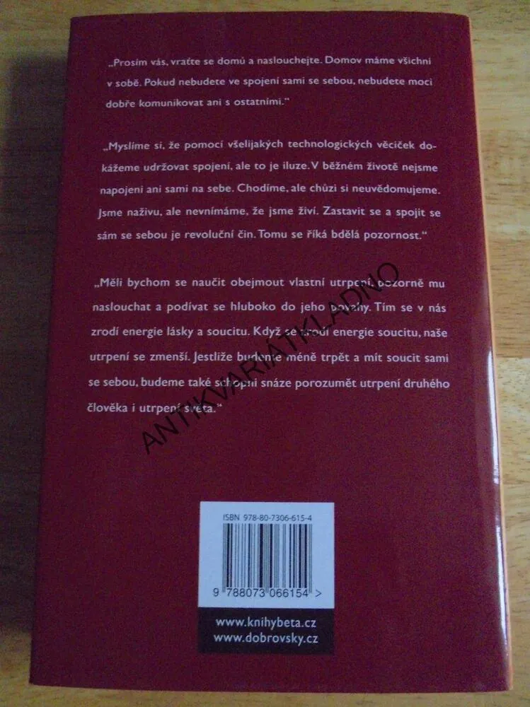 UMĚNÍ SDÍLET, THICH NHAT HAHN