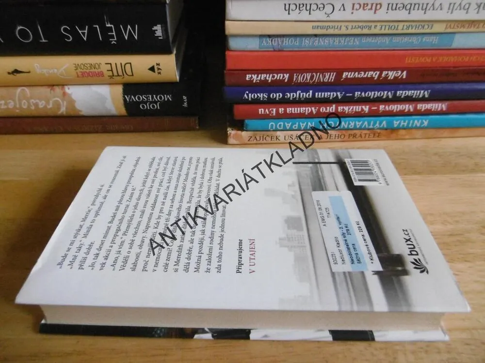 NEODOLATELNÉ SÍLY, DANIELLE STEEL, **an