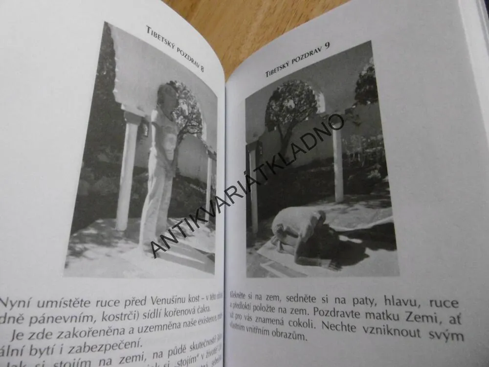 LUNÁRNÍ JÓGA ANEB ŽENA V POHYBU PO CELÝ ROK, ADELHEID OHLIGOVÁ,