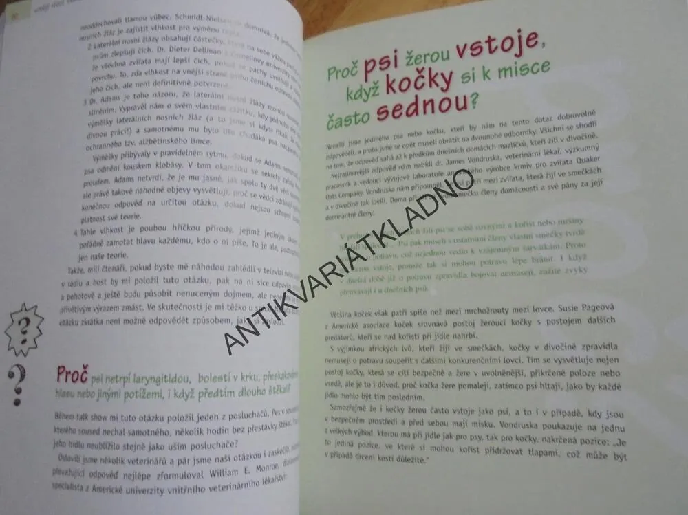 UMĚJÍ SLONI SKÁKAT? ODPOVĚDI NA ZAMOTANÉ OTÁZKY, FELDMAN