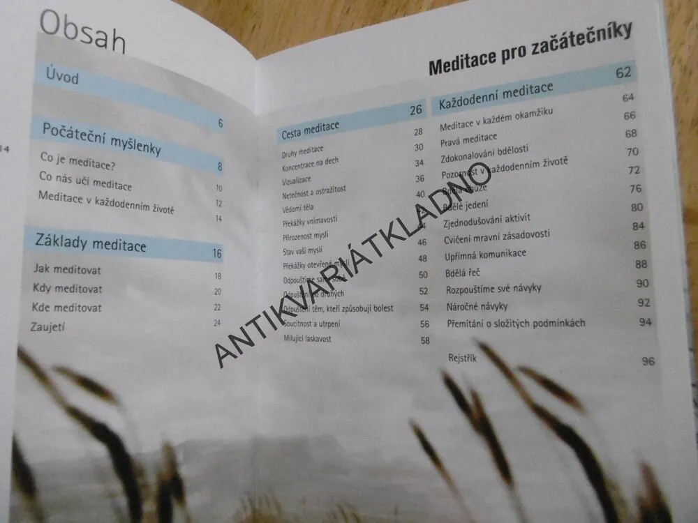 MEDITACE PRO ZAČÁTEČNÍKY, PRAXE BDĚLÉHO ŽIVOT, CHRISTINA FELDMAN, **an