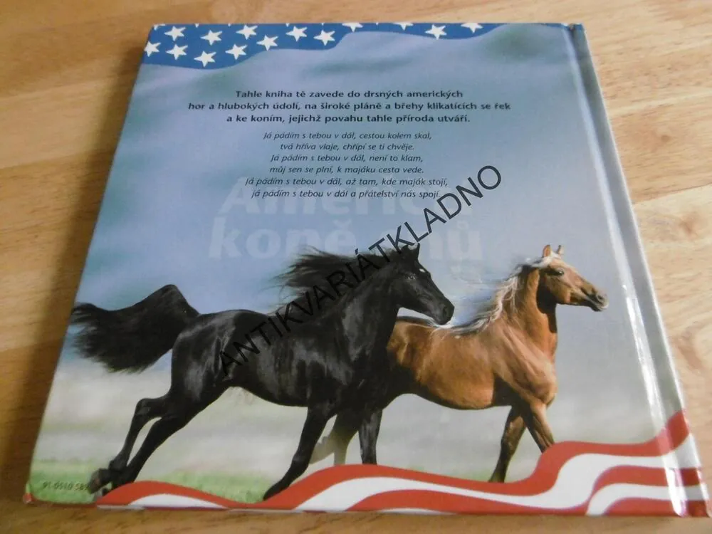 AMERIČTÍ KONĚ SNŮ, **an