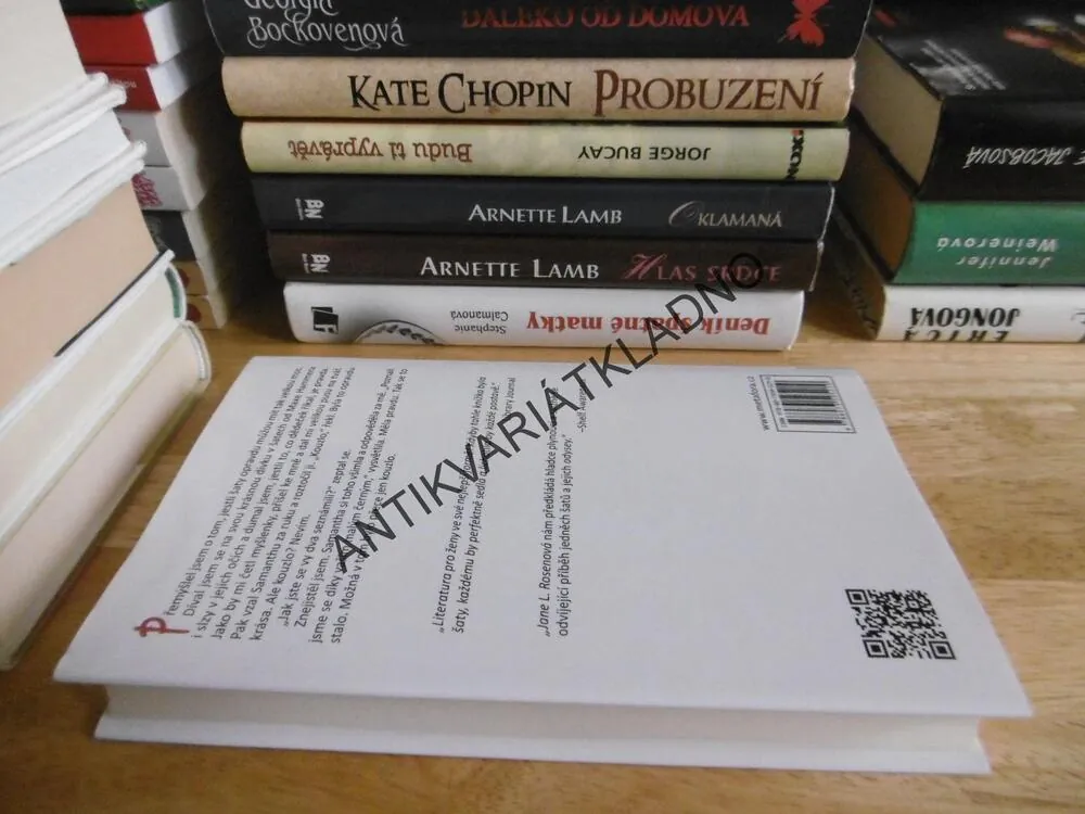 MALÉ ČERNÉ A DEVĚT ŽEN, JANE L. ROSENOVÁ, **an