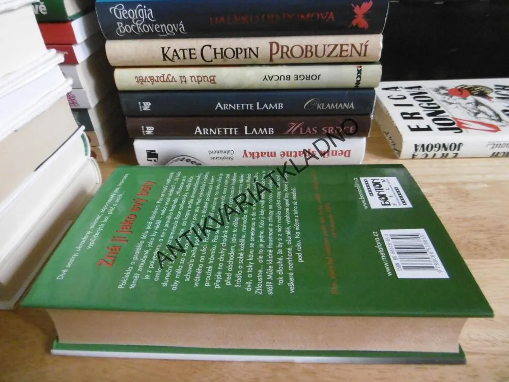 ZNÁ JI JAKO SVÝ BOTY, JENNIFER WEINEROVÁ, **an