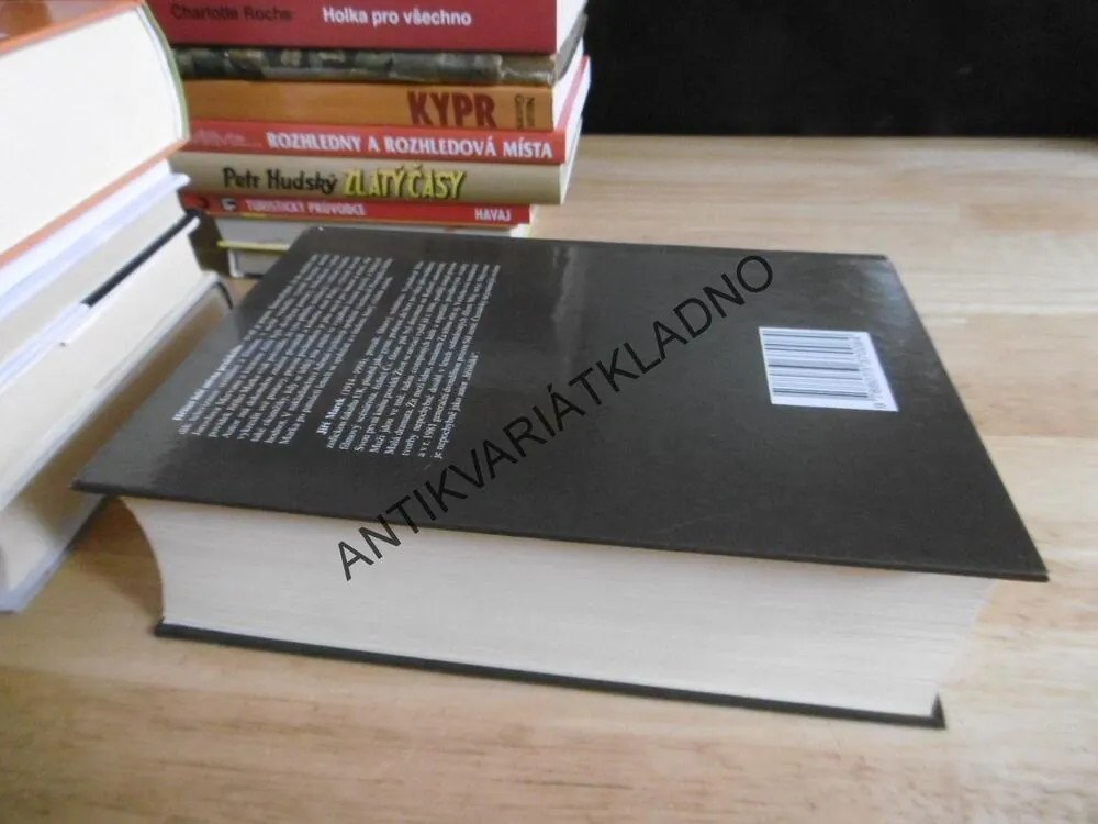PANOPTIKUM HŘÍŠNÝCH LIDÍ MĚSTA PRAŽSKÉHO, JIŘÍ MAREK, **an