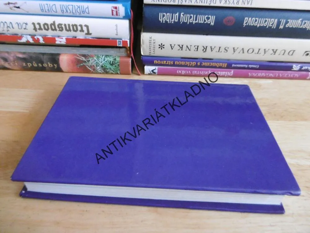 KNIHA DUCHŮ, ALLAN KARDEC, **an