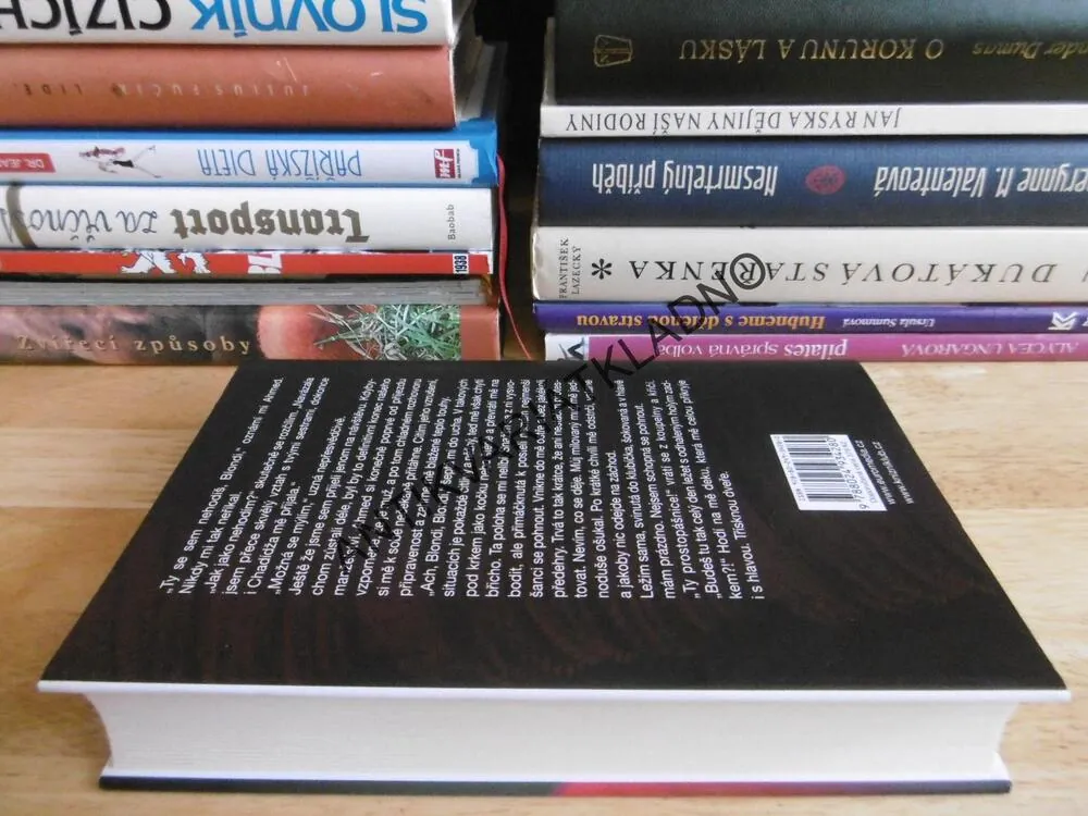 NĚCO PRO ZAHŘÁTÍ DUŠE, VÁCLAV VĚTVIČKA, **an