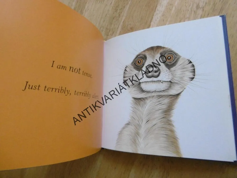 FURRY LOGIC, A GUIDE TO LIFE´S LITTLWE CHALLENGES, JANE SEABROOK, ANGLICKY, **an