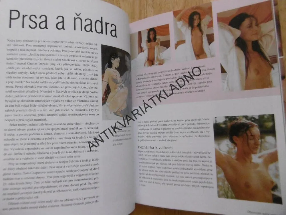 KÁMASÚTRA, LINDA SONNTAG, EROTIKA, **an