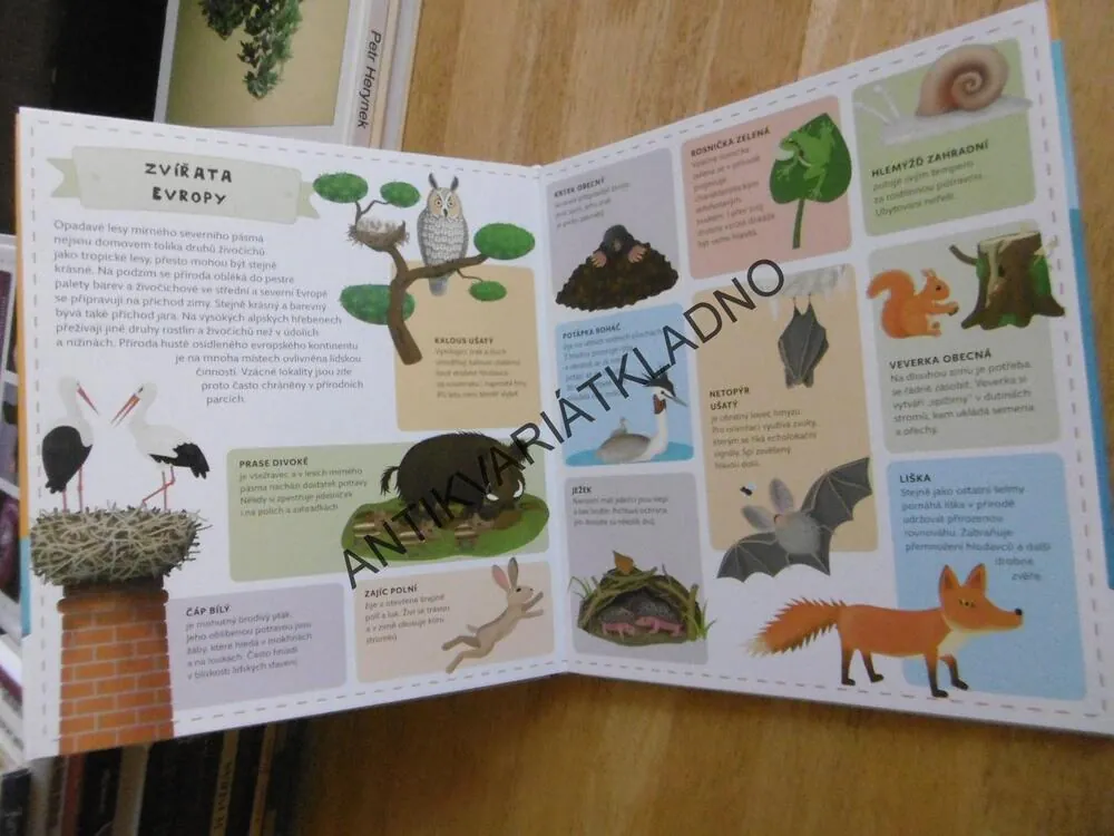 ATLAS ZVÍŘAT PRO DĚTI, **an