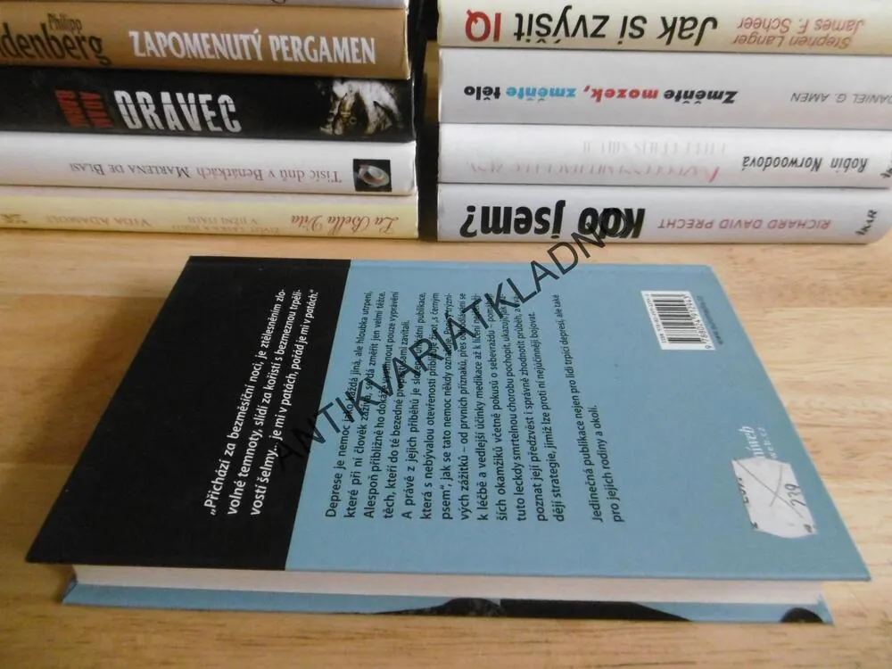 PUTOVÁNÍ S ČERNÝM PSEM, ŽIVOT S DEPRESÍ, TESSA WIGNEYOVÁ, **an