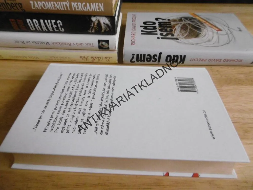 KAŽDODENNÍ MEDITACE PRO ŽENY, KTERÉ PŘÍLIŠ MILUJÍ, ROBIN NORWOODOVÁ, **an