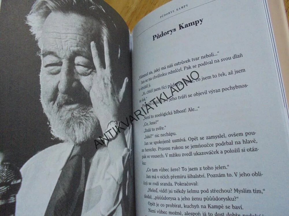 KRÁL A RYBÁŘ, JAN WERICH, CHRASTIL