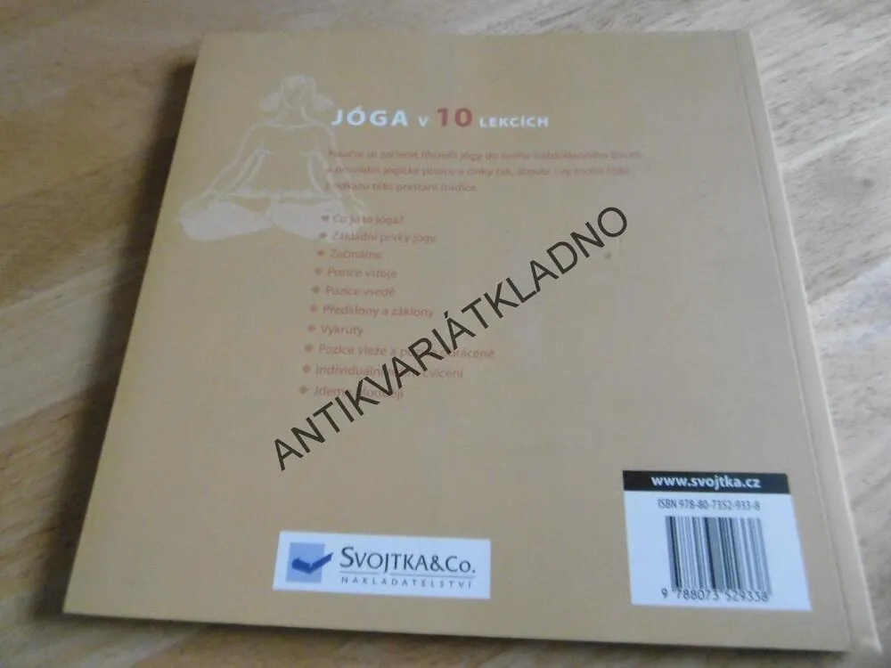 JÓGA V 10 LEKCÍCH, KIM DAVIESOVÁ, **an