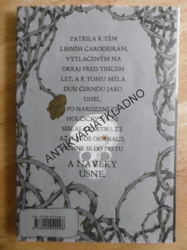 SPÁČKA A VŘETENO, NEIL GAIMAN, KOMIKS, **an