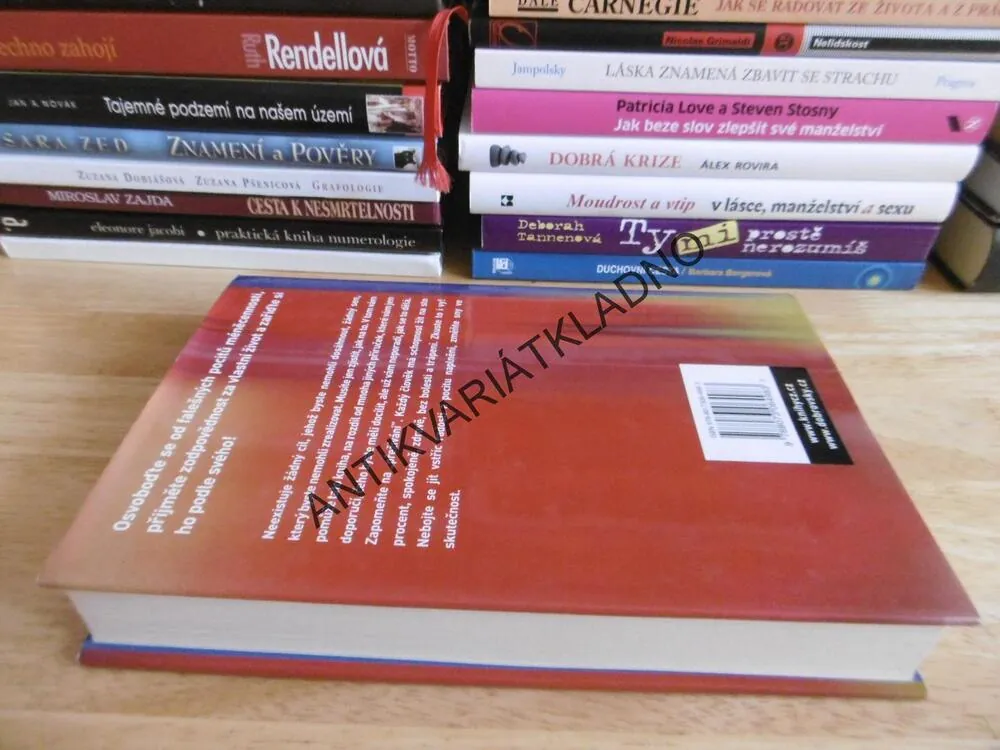BEZ HRANIC, JAK SI VYBUDOVAT VYJÍMEČNÝ ŽIVOT, JILLIAN MICHAELSOVÁ, **an