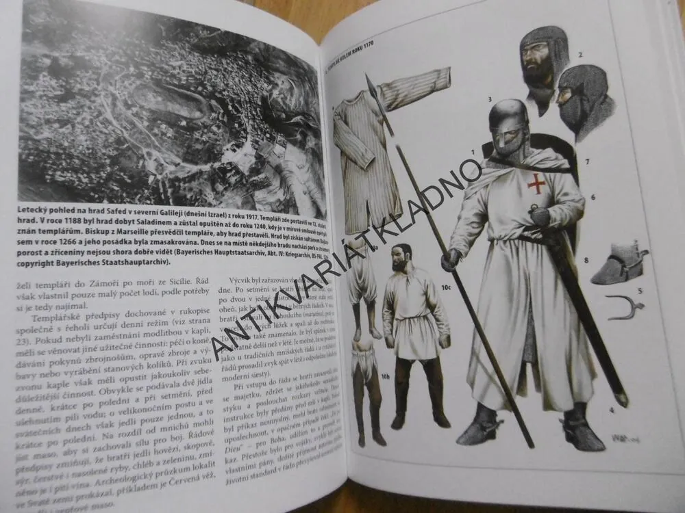 TEMPLÁŘI 1120-1312, NOICHOLSONOVÁ, WAYNE REYNOLDS, **an