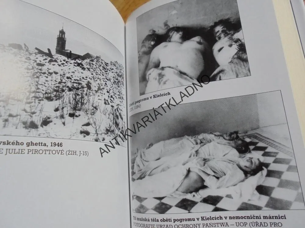 STRACH, POVÁLEČNÝ PROTIŽIDOVSKÝ POGROM, GROSS