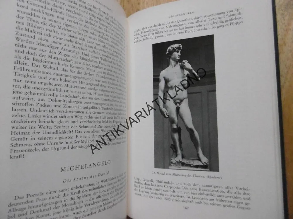 DIE ITALIENISCHE RENAISSANCE, LEO BRUHNS, NĚMECKY, **an