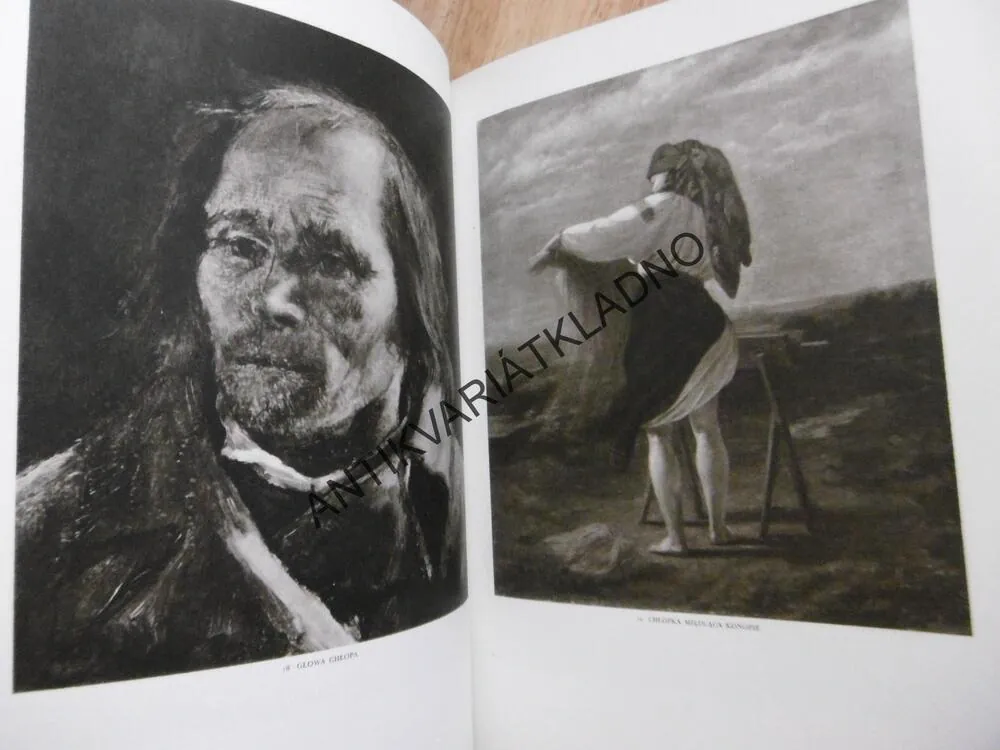 HENRYK RODAKOWSKI, POLSKY, VÝTVARNÉ UMĚNÍ, **an
