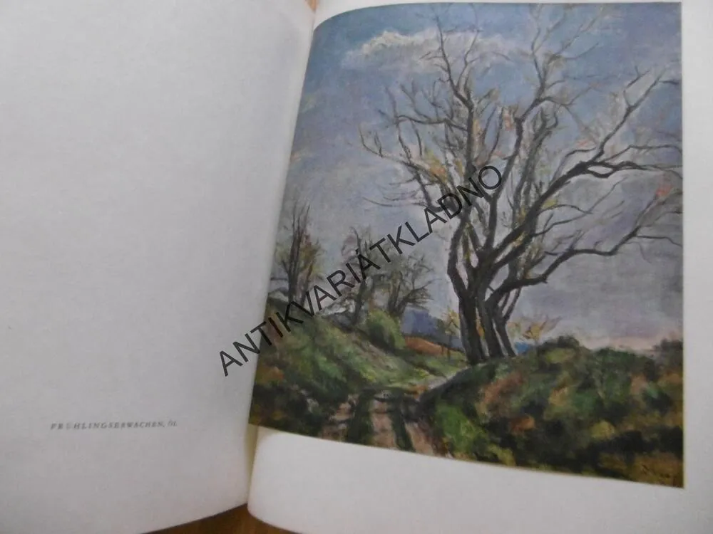VÁCLAV RABAS, MALER DER HEIMISCHEN SCHOLLE, JIŘÍ KOTALÍK, VÝTVARNÉ UMĚNÍ, **an