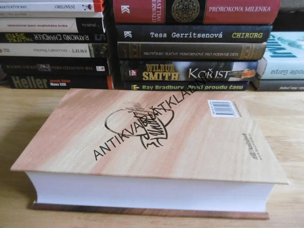 DOKUD TĚ NENAJDU, JOHN IRVING,**an