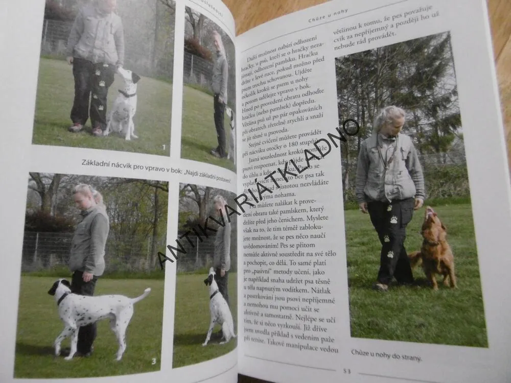 VÝCVIK PSA K DOKONALÉ POSLUŠNOSTI, OBEDIENCE KROK ZA KROKEM,IMKE NIEWÖHNER, **an