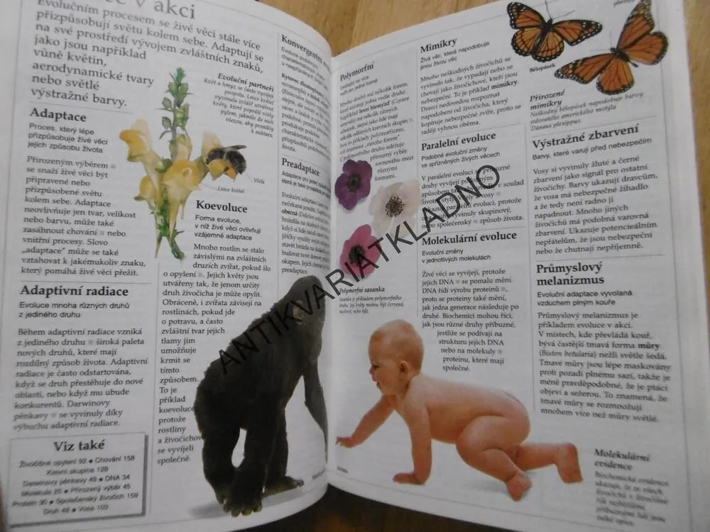 MALÁ ENCKLOPEDIA  PRÍRODY, SLOVENSKY, 2000 KLÍČOVÝCH SLOV, DAVID BURNIE, **an