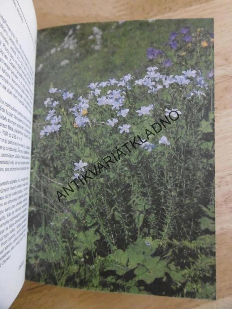 KAPESNÍ ATLAS - ROSTLINY NAŠICH HOR, JIŘÍ SOJÁK, **an