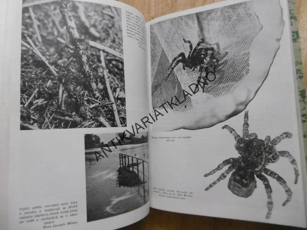 ZVÍŘATA A ZVÍŘÁTKA, JAN OBENBERGER - AUTOGRAM, 1945, **an
