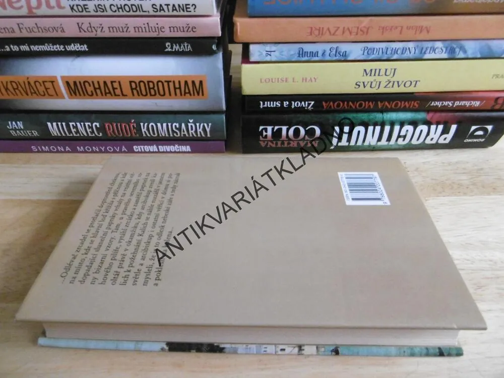 ODLÉVAČ ZRCADEL, PHILIPP VANDENBERG, **an