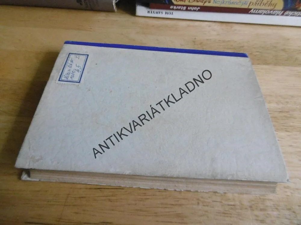 LÍZIN LET DO NEBE, RŮŽENA UTĚŠILOVÁ, **an