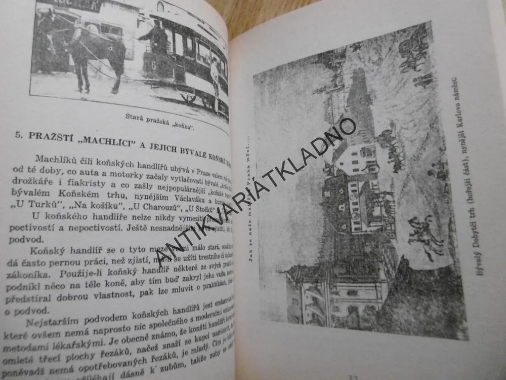 PRAŽSKÉ BAHNO, KAREL LADISLAV KUKLA, TYPY A FIGURKY STARÉ PRAHY, **an