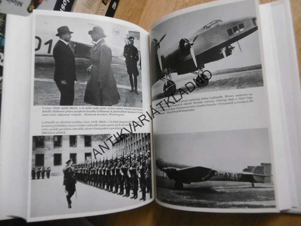 LUFTWAFFE VZESTUP A PÁD, DAVID IRVING, **an
