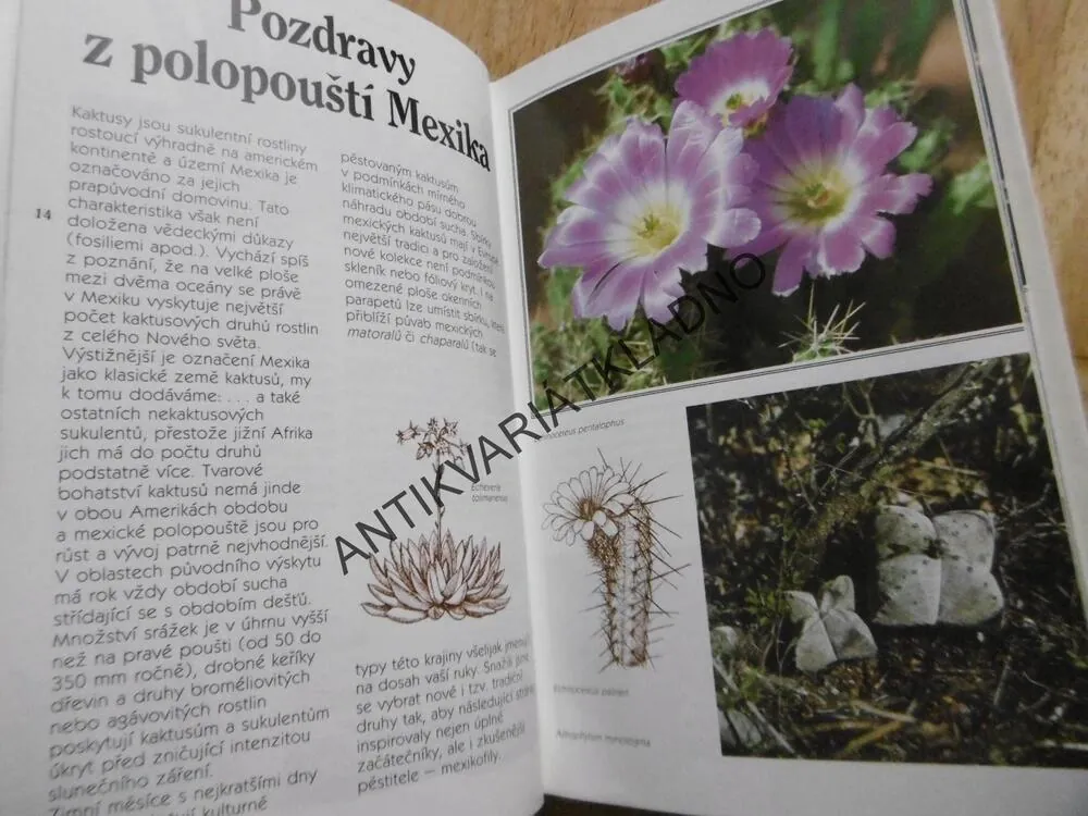 MINIATURNÍ POUŠTĚ, JAN GRATIAS, KAKTUSY A JAK JE PĚSTOVAT, ZAHRADA, ROSTLINY PRO VÁŠ BYT 1., **an