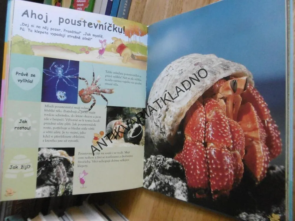 MOJE PRVNÍ ENCYKLOPEDIE S MEDVÍDKEM PÚ, ZVÍŘATA, WALT DISNEY, **an