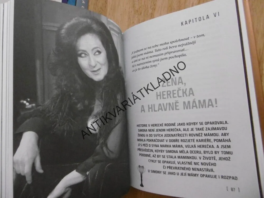 SIMONA STAŠOVÁ, HEREČKA VELKÝCH VÁŠNÍ, FILM, PETR ČERMÁK, **an