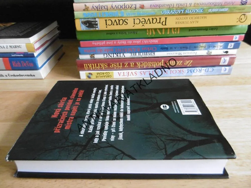 BAZAR ZLÝCH SNŮ, STEPHEN KING, **an