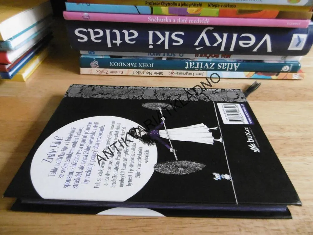 ADA A MYŠÍ STRAŠIDLO, CHRIS RIDDELL, **an